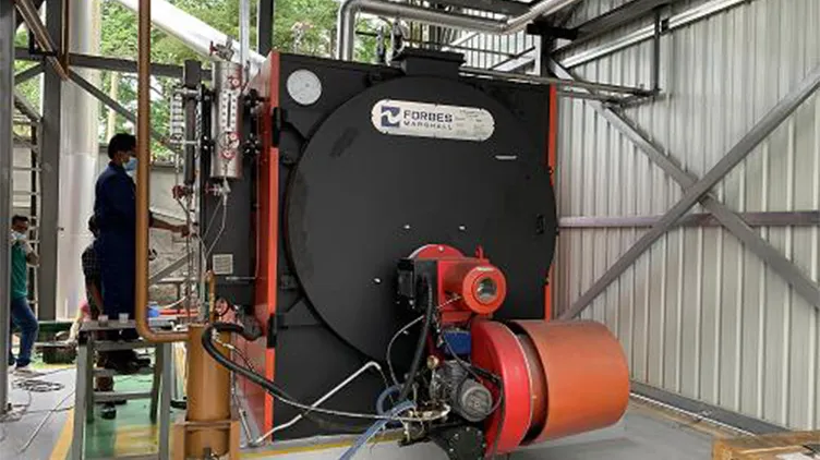 Boiler System Installation at Kelun Life Science Factory - Image 2